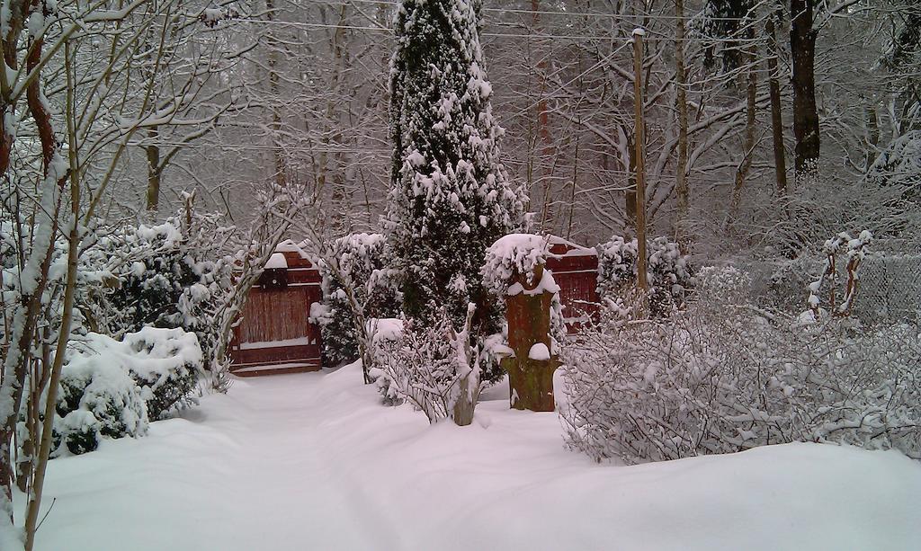 Norwegisches Holzhaus Villa Neuruppin Exterior foto